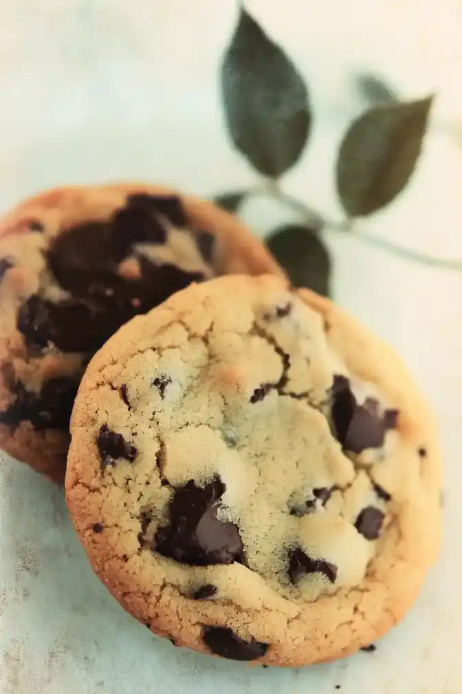 Disney Chocolate Chip Cookie Recipe Metric Measurements